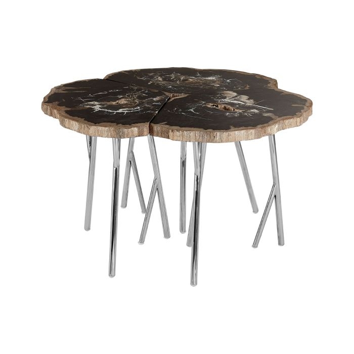 Ripley Petrified Wooden Top Coffee Table With Polished Legs