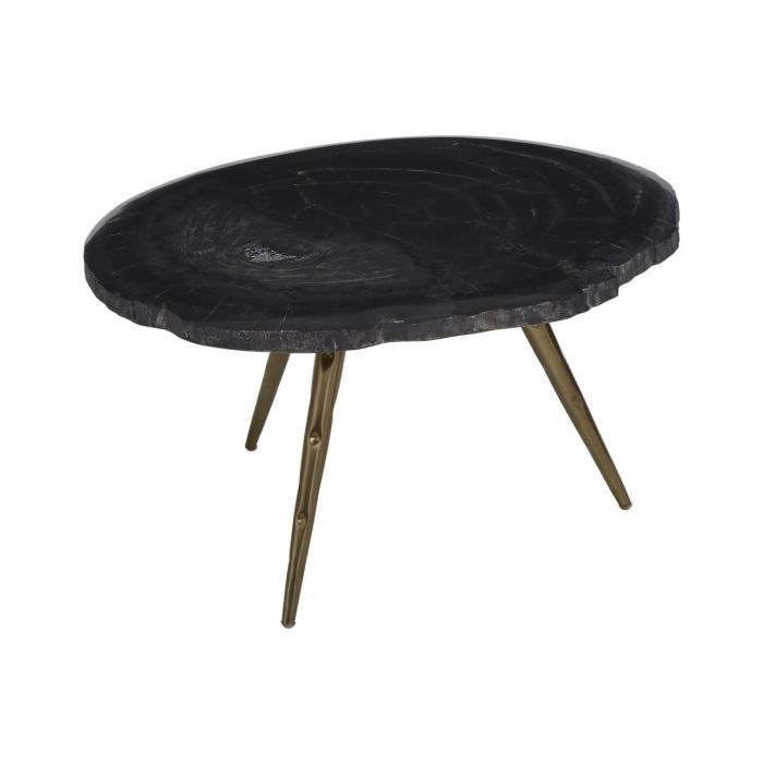 Ripley Petrified Wooden Top Coffee Table In Black With Brass Angular Legs