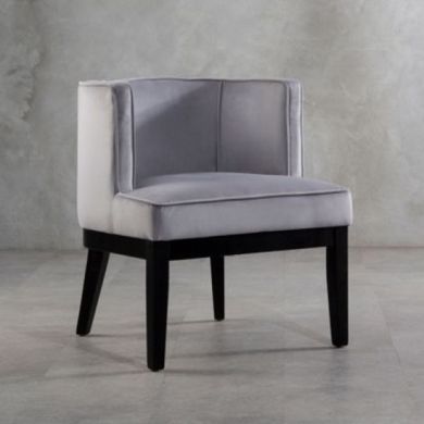 Denton Rounded Velvet Upholstered Armchair In Light Grey