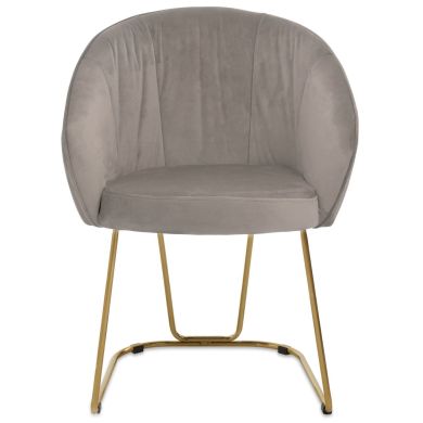 Veneto Velvet Dining Chair In Mink With Gold Metal Frame
