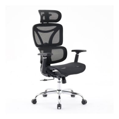 Elite Mesh Back Home And Office Chair In Black