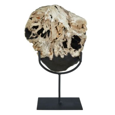 Relic Large Petrified Wood Sculpture In White And Dark Black