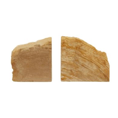 Relic Petrified Wood Set Of 2 Cross-Sections Bookends In Natural