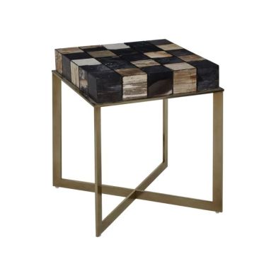 Ripley Petrified Wooden Side Table In Multi-Colour With Brass Frame