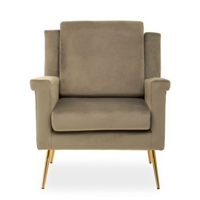 Salma Velvet Armchair In Mink With Gold Metal Legs