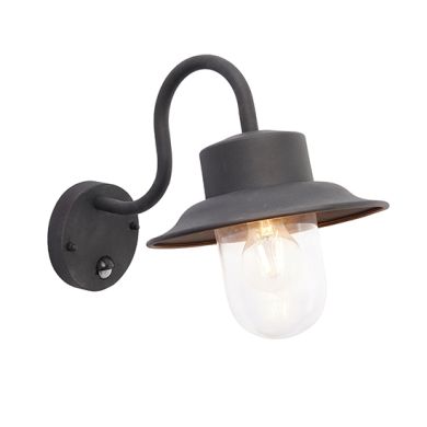 Chesham Pir Clear Glass Wall Light In Textured Black