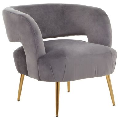 Larissa Velvet Upholstered Armchair In Grey With Gold Legs
