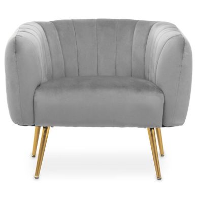 Larissa Velvet Upholstered Armchair In Grey