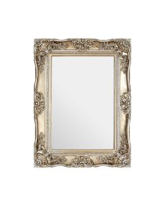 Ornate Wall Bedroom Mirror In Champagne With Metallic Foliage