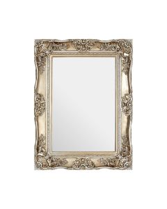 Ornate Wall Bedroom Mirror In Champagne With Decorative Edge
