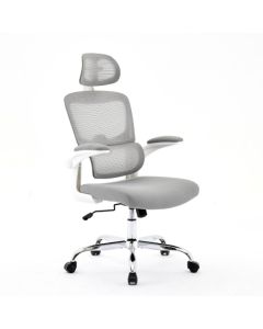 Supreme Mesh Home And Office Chair In Grey And White