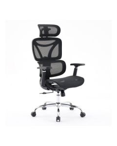 Elite Mesh Back Home And Office Chair In Black