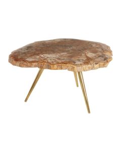 Ripley Petrified Wood Coffee Table In Natural With Gold Metal Legs
