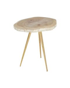 Ripley Petrified Wooden Top Side Table With Golden Metal Legs