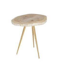Ripley Petrified Wooden Top Side Table With Golden Metal Legs