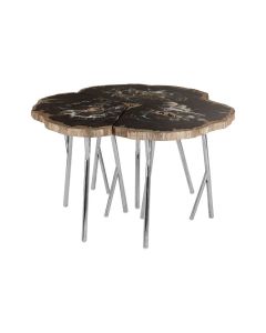 Ripley Petrified Wooden Top Coffee Table With Polished Legs