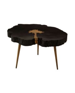 Arica Wooden Coffee Table In Black With Gold Aluminium Legs
