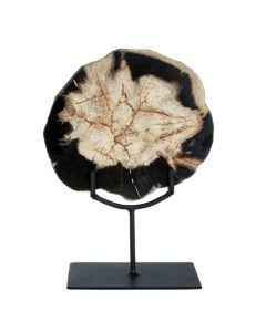 Relic Small Petrified Wood Sculpture In White And Dark Black