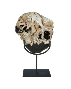 Relic Large Petrified Wood Sculpture In White And Dark Black