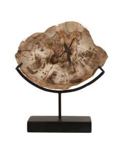 Relic Large Petrified Wood Sculpture In Natural
