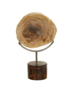 Relic Petrified Wood Sculpture In Natural