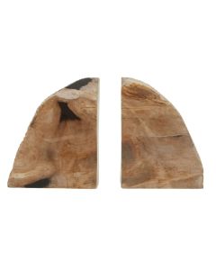 Relic Petrified Wood Set Of 2 Bookends In Natural