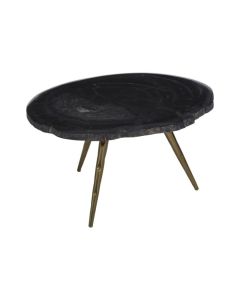 Ripley Petrified Wooden Top Coffee Table In Black With Brass Angular Legs
