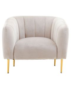 Yasmeen Velvet Armchair In Silver Grey With Gold Metal Legs