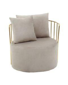 Azalea Mink Velvet Upholstered Armchair With Two Pillows