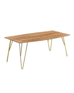 Fusion Wooden Coffee Table With Gold Metal Legs