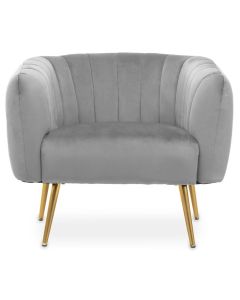 Larissa Velvet Upholstered Armchair In Grey