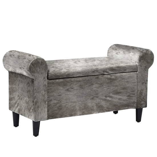 Highgrove Velvet Storage Ottoman In Silver